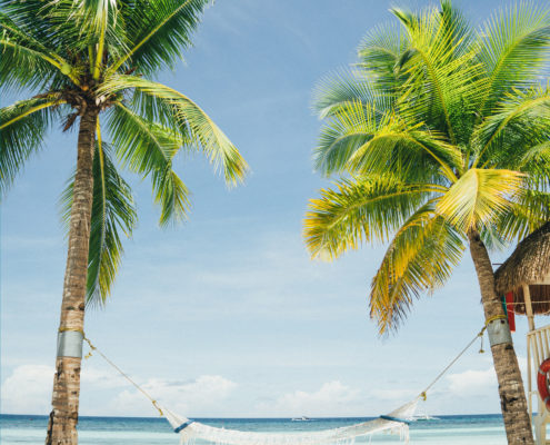 fear of flying phobia palm trees